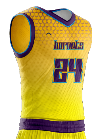 Alleson Charlotte Hornets League Sublimated Jerseys
